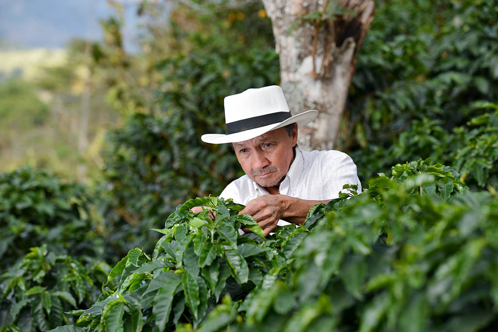 Колумбия Нариньо