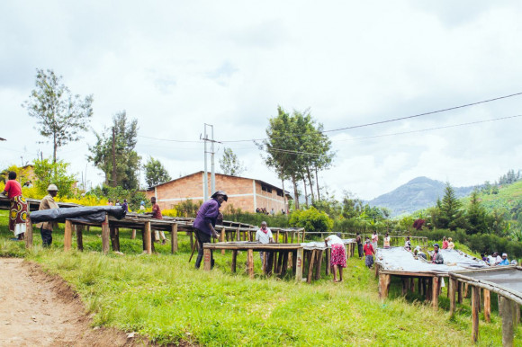 Руанда Рушаши Минази