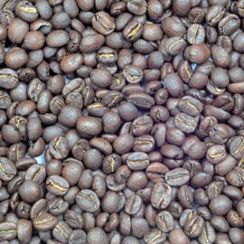 Моносорт №17 "Бразилия Можиана + Серрадо", фото 