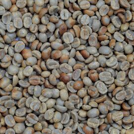 Моносорт №17 "Бразилия Можиана + Серрадо", фото , изображение 2