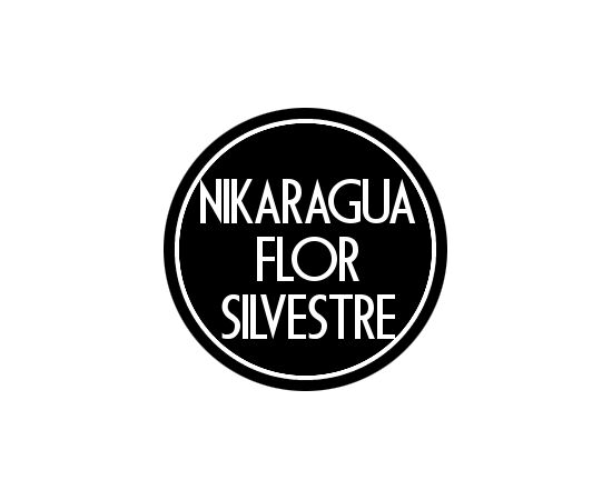 Микролот "Никарагуа Флор Сильвестре", фото 