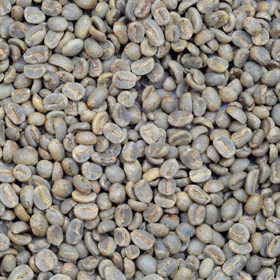 Моносорт №6 "Гондурас Эль Кампо", фото , изображение 2