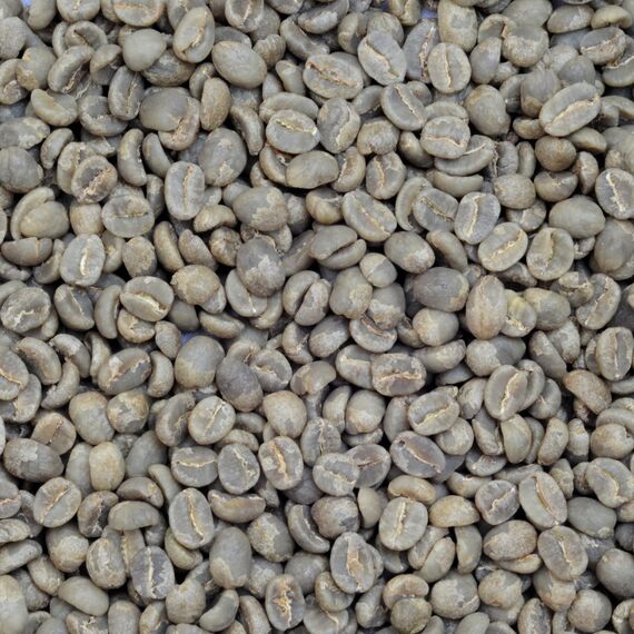 Моносорт №8 "Кения Ндароини AA", фото , изображение 2