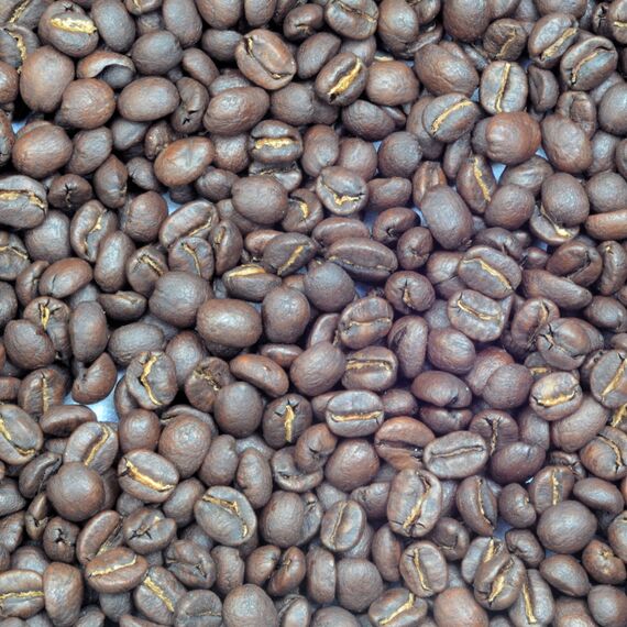 Моносорт №17 "Бразилия Можиана + Серрадо", фото 