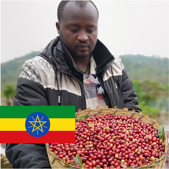 Микролот "Эфиопия Оромия Зиначу Аддису", фото , изображение 2