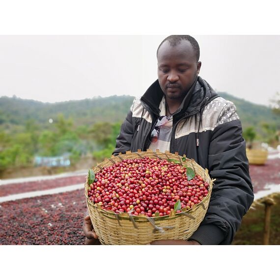 Микролот "Эфиопия Оромия Зиначу Аддису", фото , изображение 7