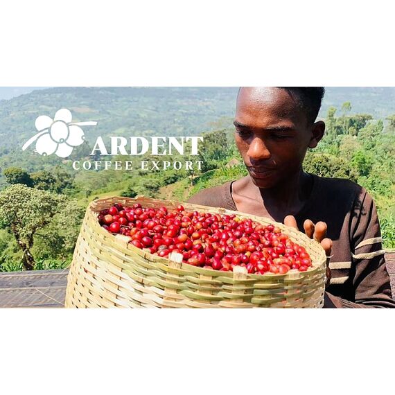 Микролот "Эфиопия Ардент Сидамо Шанта Голба", фото , изображение 2