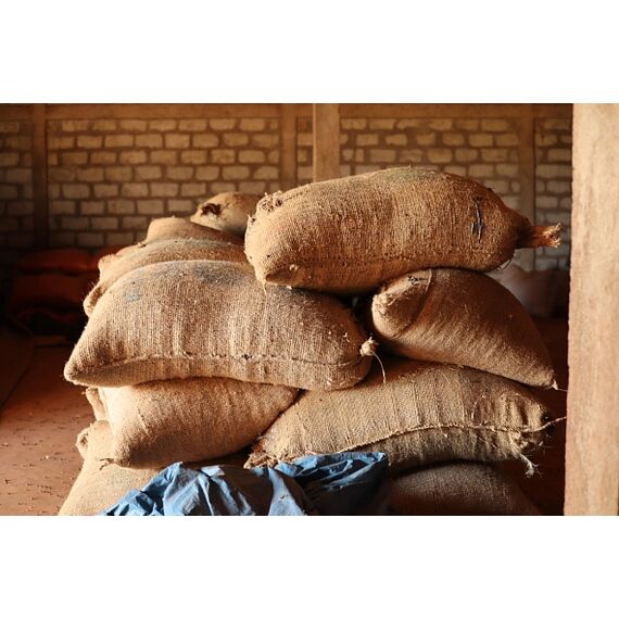 Микролот "Эфиопия Гуджи Мар Коф G2", фото , изображение 3